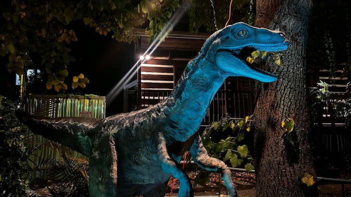 Un dinosaure.
