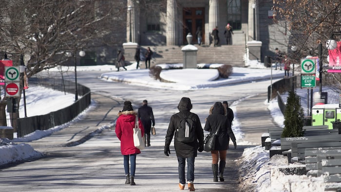 Des étudiants sur le campus de l'Université McGill.