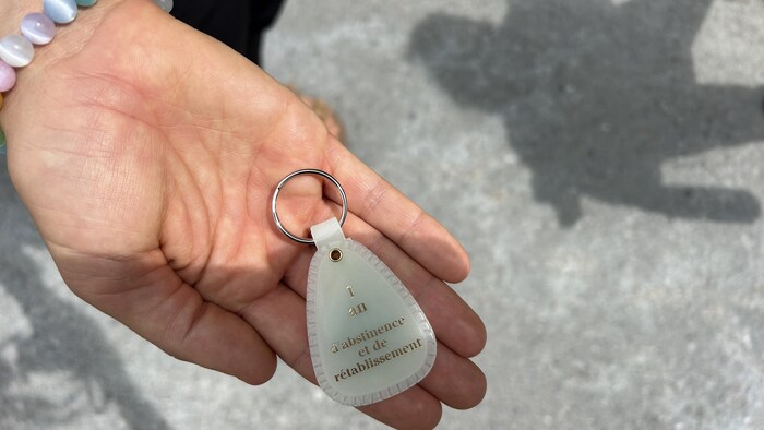 Sweat à Capuche Officiel Narcotiques Anonymes 'Day Ones' - Couleur Vive, Message 'We Do Recover'