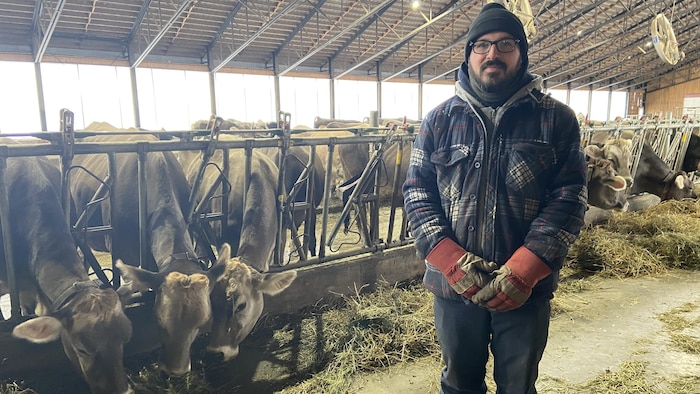 Étienne Boivin-Côté dans l'étable où 80 vaches sont en lactation.