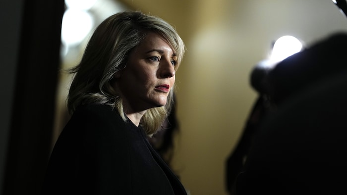 La ministre de l'Industrie, Mélanie Joly, répond aux questions des journalistes avant une réunion du caucus libéral, sur la Colline du Parlement à Ottawa, le mercredi 7 octobre 2026.