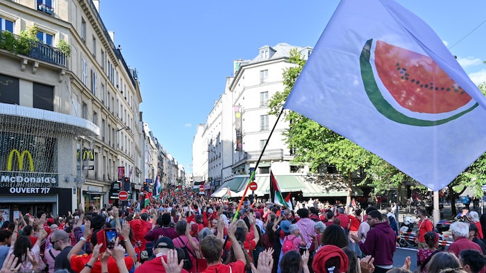 Des manifestants pro-palestiniens brandissant un drapeau avec l'emblème du melon d'eau à Paris, le 8 juillet 2025.