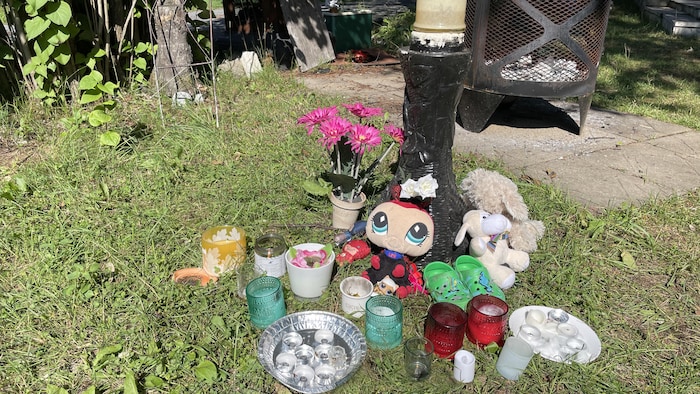 Des peluches, des fleurs et des chandelles sur le gazon