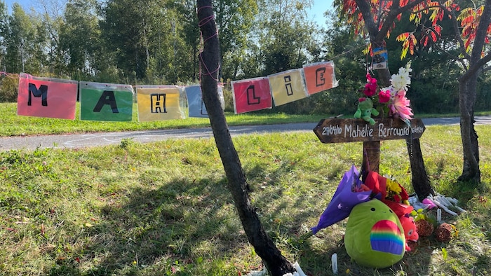 Des fleurs, des bougies et des peluches déposées près d'un arbre