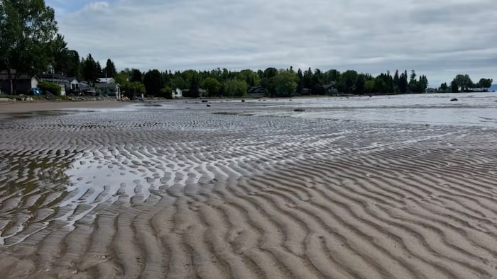 Une plage présentant des ondulations.