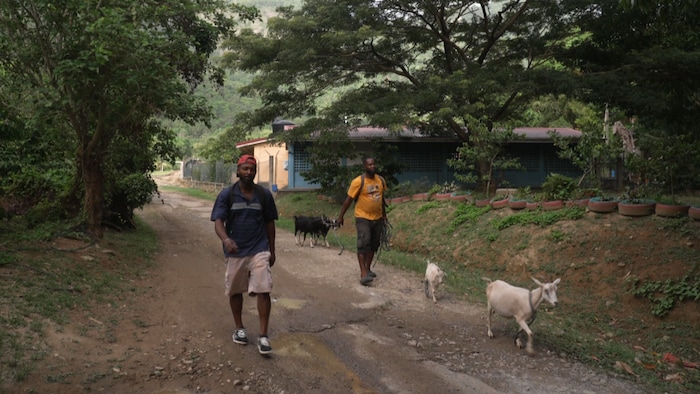 Deux hommes marchent avec des chèvres sur une route de campagne.