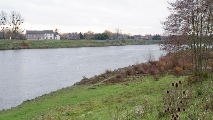 Meuse Riviere Un fleuve européen, havre pour la biodiversité | Radio-Canada