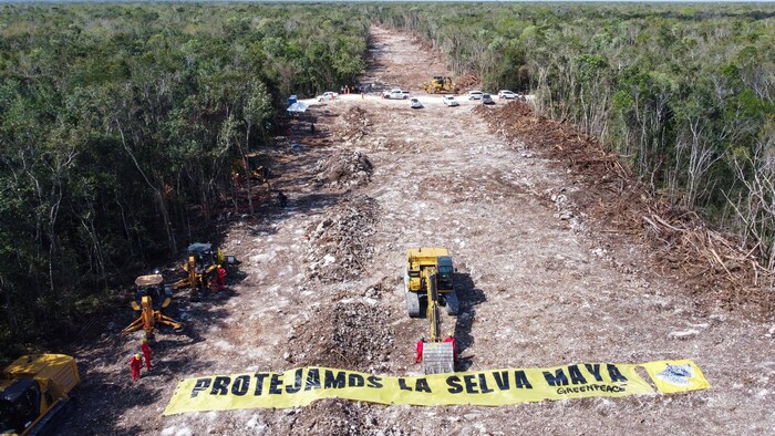Une bannière portant le message Protégez la jungle maya est placée sur l'un des tronçons du tracé du chemin de fer.