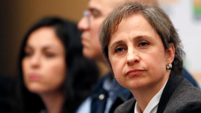 La journaliste Carmen Aristeguim, lors d'une conférence de presse à Mexico
