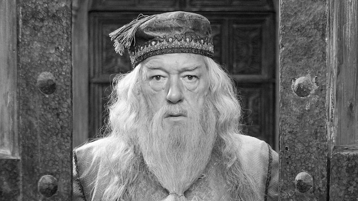 Le personnage de Dumbledore dans le cadre d'une porte. 