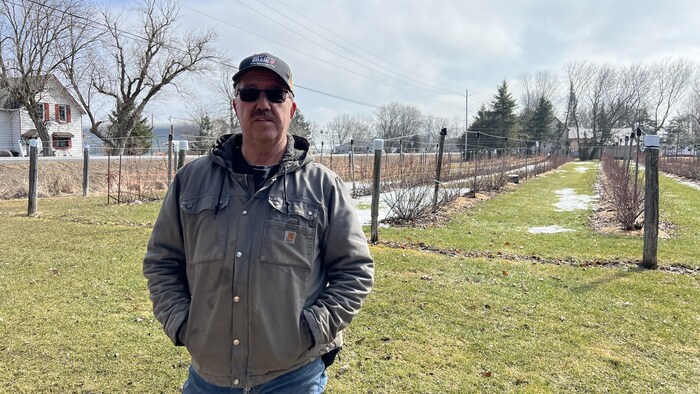 Michel Dignard devant des plants de bleuets, à Embrun, en mars 2024. 