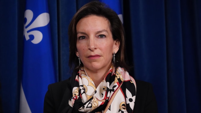The Quebec Liberal Party unveils its new parliamentary team The Quebec Liberal Party unveils its new parliamentary team