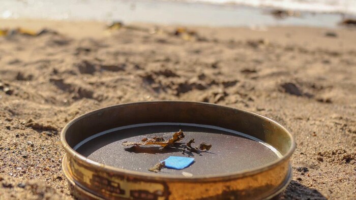 Un morceau de microplastique se retrouve dans un tamis filtreur, déposé sur le sable près de l'océan.