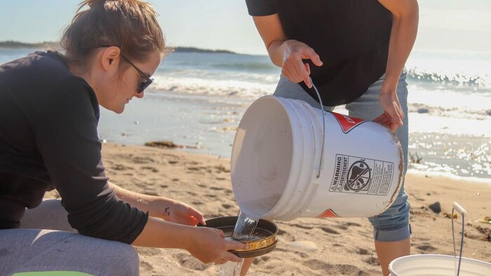 Deux personnes s'affairent à filtrer de l'eau de surface pour en extraire les microplastiques sur la plage.