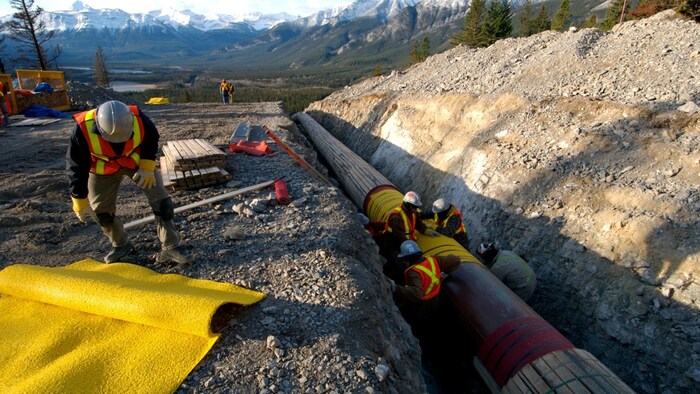 Des travailleurs installent un pipeline.