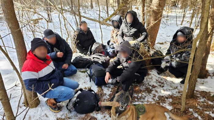 Sept hommes sont accroupis sur la neige dans un boisé, derrière un chien pisteur.
