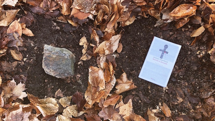 Le livre est posé au sol, au centre d'un carré délimité par des feuilles mortes.