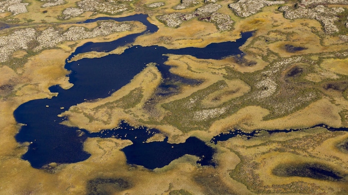 Vue aérienne de milieux humides dans la toundra arctique en Sibérie.
