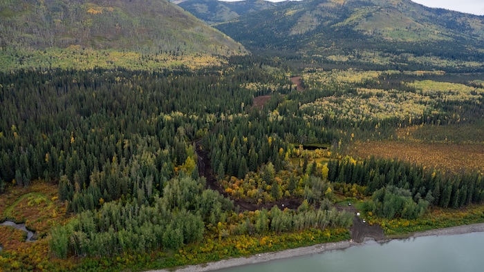 Une route près du fleuve Yukon mène au camp de la mine Coffee Gold dans la forêt.