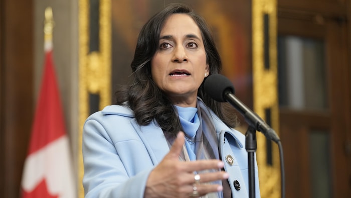 Anita Anand parle dans un micro.