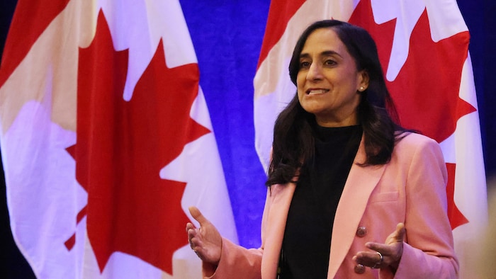 Anita Anand parle devant des drapeaux du Canada. 