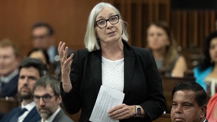 Patty Hajdu debout au Parlement du Canada.