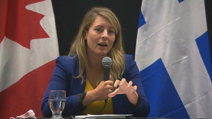وزيرة الخارجية في الحكومة الاتحادية الكندية ميلاني جولي.