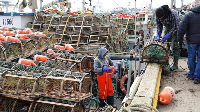 Des pêcheurs installent des casiers à bord de leur bateau.