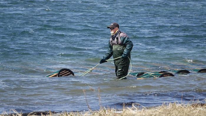 Un pêcheur qui sort un casier de la lagune.