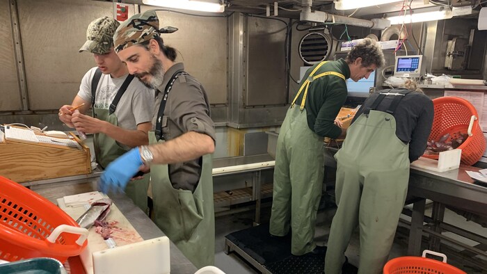 Des chercheurs mesurent des poissons.