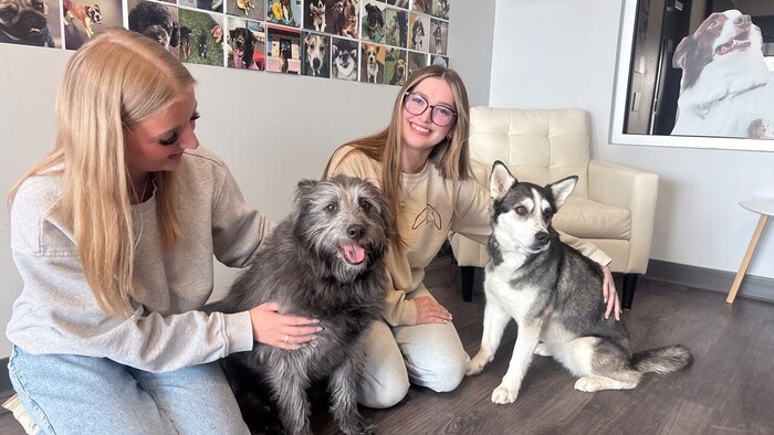 Shaggy et Missy à la garderie pour chiens avec des employées de Spot's Place