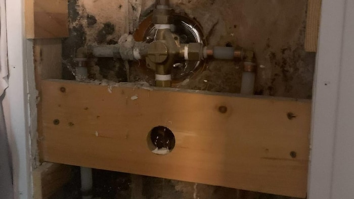 La moisissure dans l’appartement de Stella dégageait une odeur nauséabonde avant l’intervention de Tri-Logis.