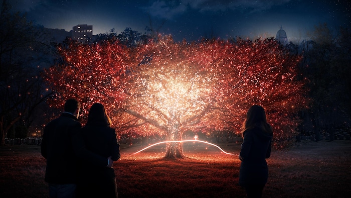 Image d'un arbre illuminé en orange et des gens le regardent.