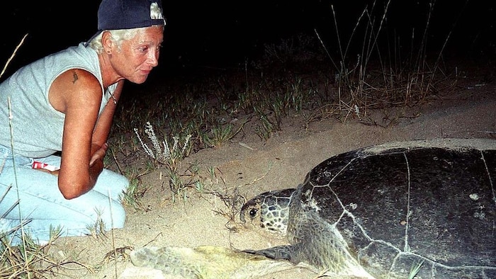 Une femme observe une énorme tortue, la nuit.