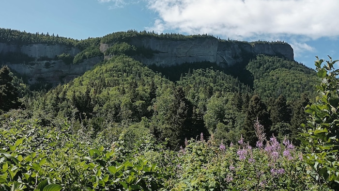 Les monts Blanc et Sainte-Anne à Percé.