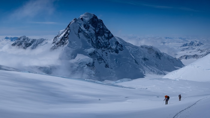 Des grimpeurs marchent vers le sommet du mont Logan.