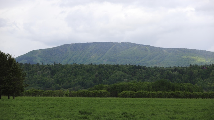 Le mont Sainte-Anne l'été.