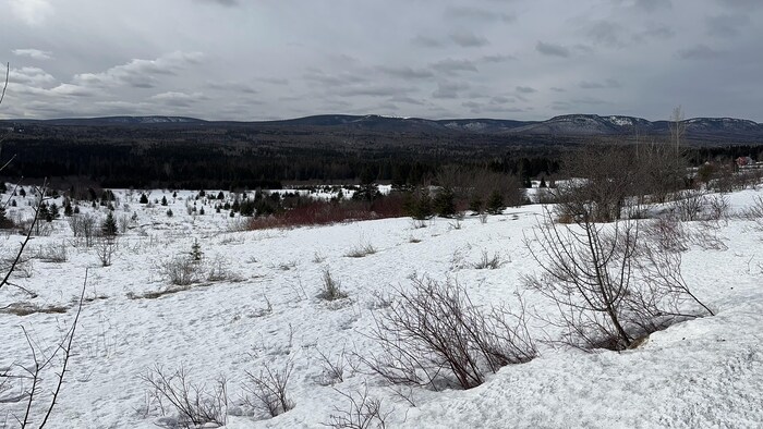 Montagnes à Douglastown.