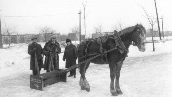 une charrue tirée par des chevaux.