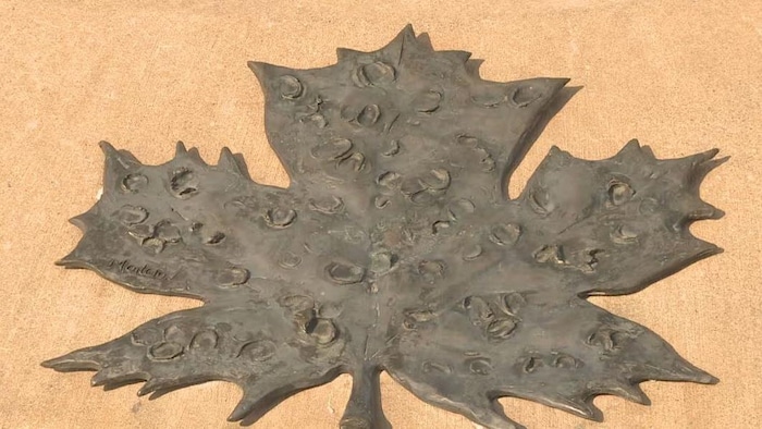 Une des feuilles d'érable en cuivre montrant plusieurs empreintes de pouce.