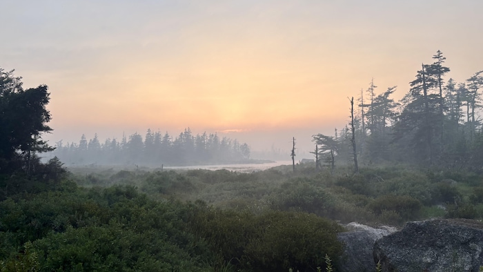 De la fumée provenant de l'incendie de forêt sur la route de Mooseland situé à environ 100 km au nord-est d'Halifax, en Nouvelle-Écosse, s'élève dans le ciel, le 16 juillet 2026.