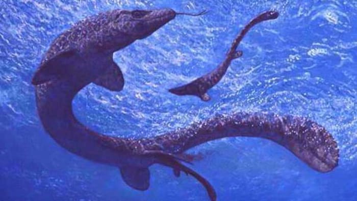 Représentation d'une femelle mosasaure et son bébé, animal ayant existé il ya des millions d'années.
