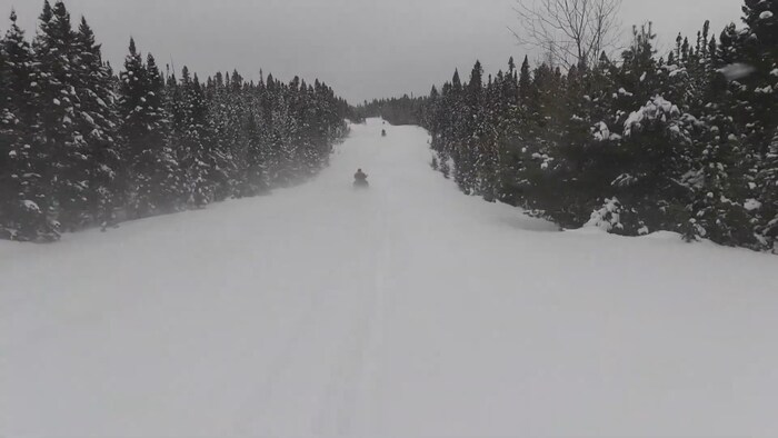 Des motoneiges sur une large piste, en pleine forêt.