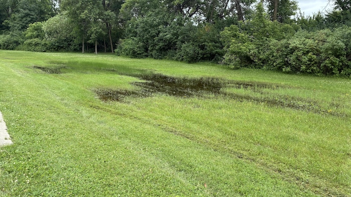 Une grande flaque d'eau au parc Saint-Vital.