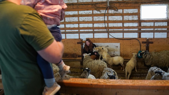 Un père porte son enfant dans ses bras pendant que la mère s'occupe des moutons.