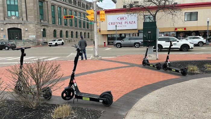 Des trottinettes électroniques au centre-ville de Moncton, au Nouveau-Brunswick.