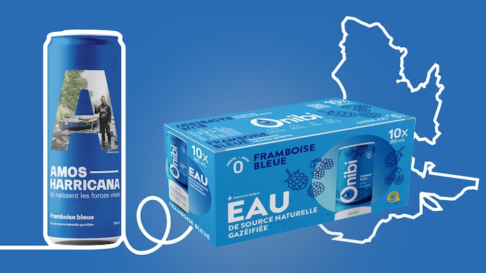 Un montage montrant une canette d'eau de source gazéifiée et une boîte de canettes avec le contour du Québec.