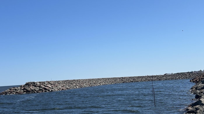 Un gros mur de roches dans un havre.