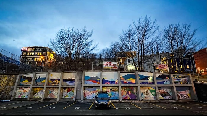 La nouvelle murale, créée par l'artiste visuelle Anastasia Tiller, a été inaugurée la semaine dernière sur la rue Duckworth, à Saint-Jean.