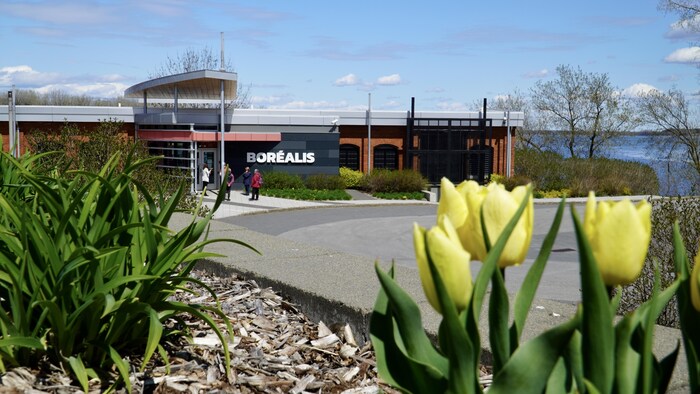 Le musée Boréalis, à Trois-Rivières, derrière des tulipes.